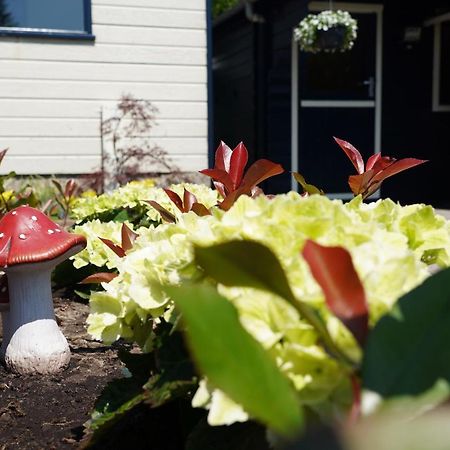 Gezellig En Relaxed Verblijf In Chalet In Putten Op De Veluwe! Exteriör bild